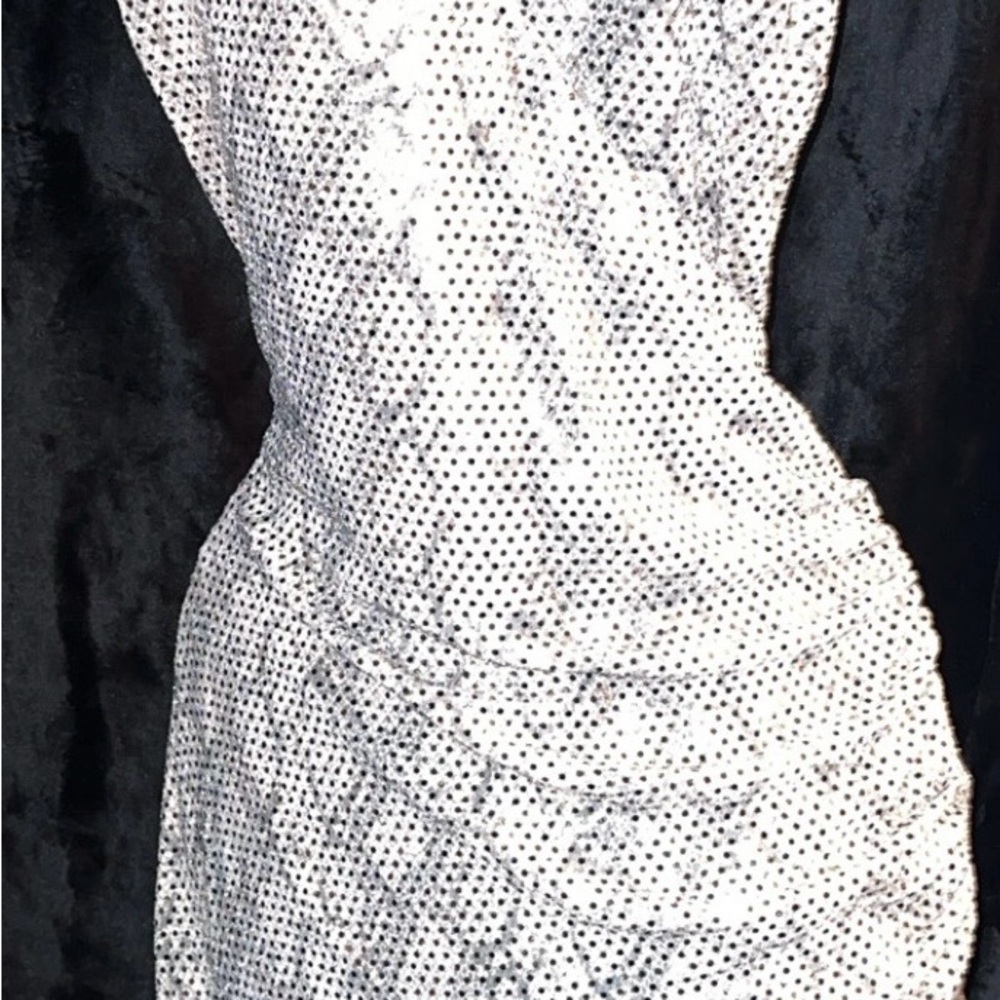 Sabora Cream & Gray sequin Dress